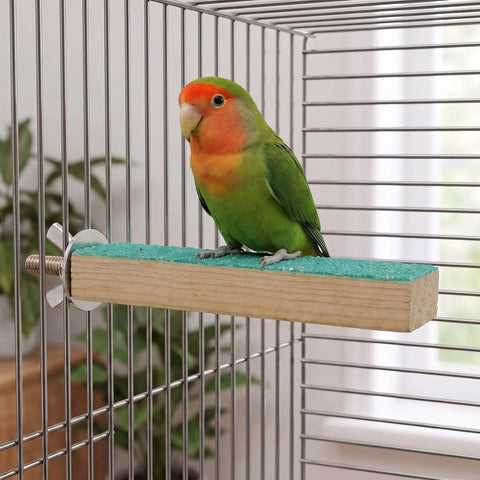Top Shelf Solid Wood Bird Cage Perch Stand 2 Pack With Quartz Sand Coating used by a colorful bird on a wooden perch in a cage.