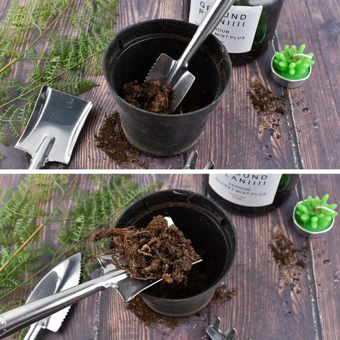 Three Piece Mini Garden Tools Set shown with triangle shovel and spade in potted soil, stainless steel, for succulents and seedlings care