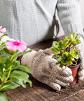 Mini Succulent Garden Tools Set With Shovel Spade Rake And Pruning Scissors Plus Plastic Bucket Shovel in use with houseplants
