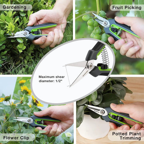Two Pack Garden Pruning Shears With Sheath 6.5 Inch Small Hand Pruners Snips Clippers Spring Loaded Comfort Grip in use