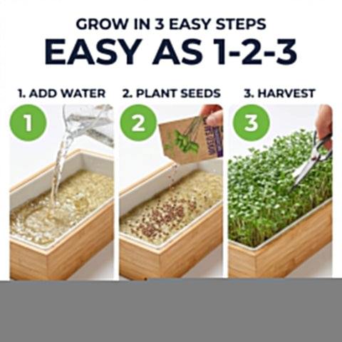 Self Watering Microgreens Kit For Indoor Growing, Reusable Tray With Grow Mats And Bamboo Frame, No Soil Starter steps