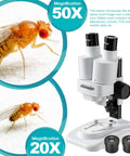Grab And Go Portable Stereo Microscope With 20X And 50X Magnification, LED Light, WF Eyepieces, And 65 To 102 Mm Working Distance, Great For Insect Specimens And Mineral Studies, Includes 10 Slides And 12 Mineral Specimens, with 50x and 20x views