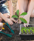 Children planting seedling next to 6 Tray Seed Starter Kit With USB Full Spectrum Grow Lights Timing Controller Adjustable Humidity Domes Heightened Lids 12 Cells Per Tray Indoor Garden Starter Pack.