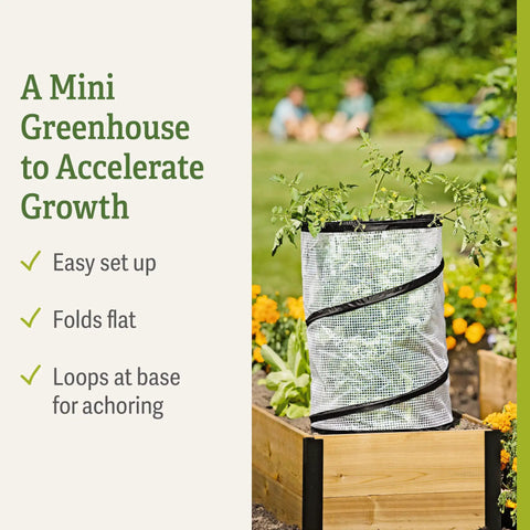 Pop Up Tomato Accelerator Protector Cage Mini Greenhouse For Raised Beds And Vegetable Gardens 18 Inch Diameter By 28 Inch High Keeps Transplants Safe From Cold Winds And Speeds Growth
