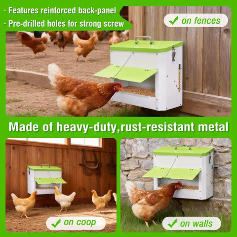 Heavy Duty Automatic Chicken Feeder With Weather Sealed Lid And Lockable Rodent Proof Door For Zero Waste Hanging Backyard Poultry Feed Hopper on fences with chickens nearby.