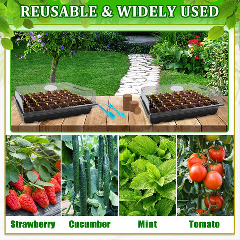 Two Pack All In One Seed Starter Trays With 80 Coco Pellets Humidity Covers No Fuss Indoor Seed Germination System For Herbs Vegetables And Flowers Seed Starter Kit