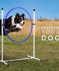 Dog leaping through 24 inch tire of Beginner Dog Agility Kit With Jumps, Tire Jump, Weave Poles, 10 Ft Tunnel With 4 Sandbags