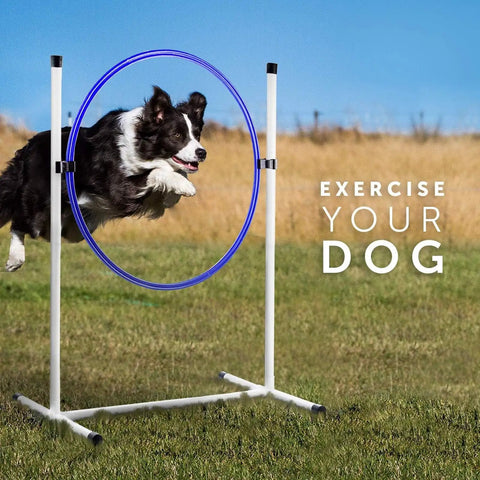 Dog leaping through 24 inch tire of Beginner Dog Agility Kit With Jumps, Tire Jump, Weave Poles, 10 Ft Tunnel With 4 Sandbags