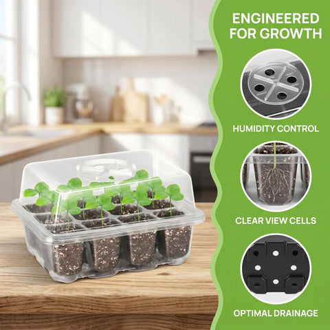Five Pack Seed Starter Tray Kit With Humidity Dome 60 Cells Total Seed Starting Trays with seedlings and clear lid in kitchen