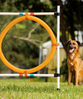 Adjustable Dog Agility Hoop Jump Set With 22 Inch Circle Hoop And Height Adjustable Frame for backyard training