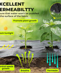 Heavy Duty 4 Foot By 300 Foot Weed Barrier Landscape Fabric 3.2 Oz Woven Geotextile Ground Cover installed in garden