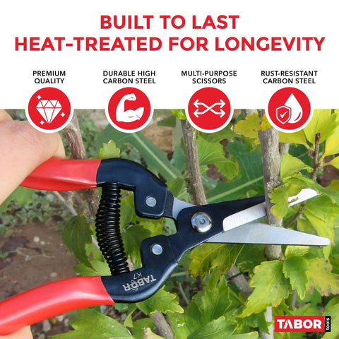 Close-up of Ultra Light Long Reach Pruning Shears For Garden And Florist Use cutting a green branch, focus on heat-treated carbon steel blades.
