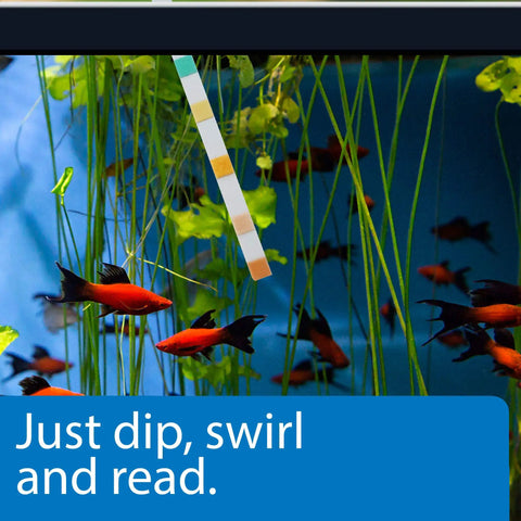 Hella Reliable 5In1 Aquarium Test Strips Keep Your Freshwater And Saltwater Tanks Flopping Smooth Checks PH Nitrite Nitrate Hardness 100 Count in an aquarium with red fish and plants.