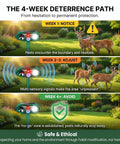 Ultrasonic Deer Repellent For Plants 4 Pack With Solar Power And Motion Sensor Strobe Light Outdoor Animal Deterrent in garden