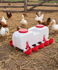Backyard Boss Automatic Chicken Waterer Featuring Ten Heavy Duty Cups Plus A 9.6 Gallon Self Filling Reservoir with chickens and ducks.