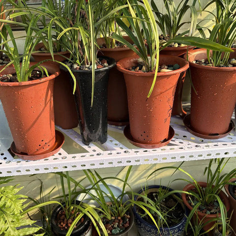 Hella Sturdy DIY Modular Shelving Track, Rust Proof Slotted Steel Angle Strips With Precision Punched Holes, Heavy Duty Rock Solid Framing Rails To Level Up Your Garage Setup 164 Ft Roll with potted plants on display.