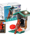 Smart Bird Feeder With Camera For Backyard Viewing, 2.5K HD Video, AI Bird Recognition Of 10K Birds, Wall Mount, Solar Power