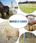 Cattle Fence 4ft By 328ft Heavy Duty Galvanized Wire And Chain Link Fence shown enclosing various livestock