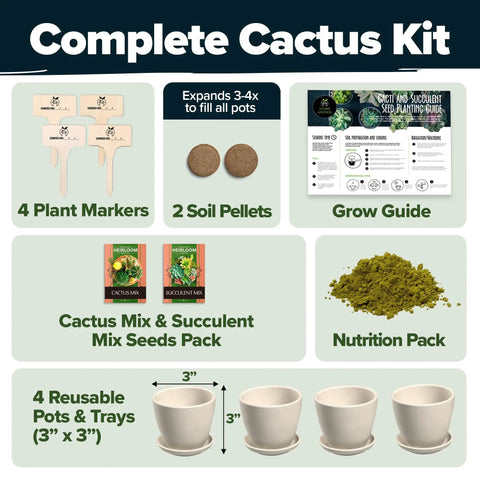 Complete Succulent And Cactus Seed Kit For Planting Enthusiasts Favorite Premium Starter Kit With Four Planters Drip Trays Markers Seeds Mix And Soil