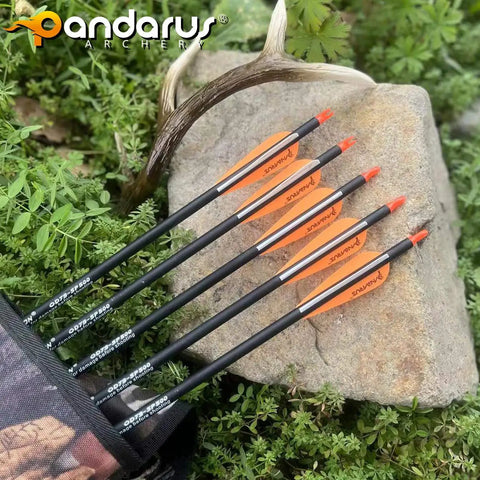 32 Inch Carbon Practice Arrows Set of 12 for Youth Kid Friendly Compound and Recurve Bow Orange Removable Nocks on rock