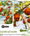 16 Piece Tree Support Kit for Fruit Trees and Vines, Plastic Branch Braces to Prevent Breakage, Fits Standard 1.57 By 1.57 Inch Lumber, A Handy Garden Hack for Backyards, Orchards And Vineyards, Includes Screws, Green, branch brace on apple tree