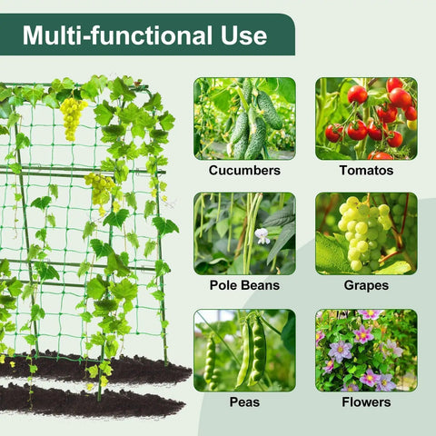 Cucumber Trellis for Raised Garden Bed, Rustproof Metal, shown with climbing plants like cucumbers, tomatoes, grapes, peas.