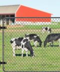 Beefy Heavy Duty Chain Link Fence Gate Hinges Carbon Steel With Electroplated Finish Removable Wall Mount Bolts Fits One And Three Eighths Inch Posts Outdoor Farm Fence Hardware Pack Of Two Black installed on a farm fence with cows in the background.