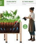 Woman watering a 7x2 Ft Raised Garden Bed With 16 Inch Depth And Legs, Drainage Holes, showing deep-rooted vegetables in soil, elevated design.
