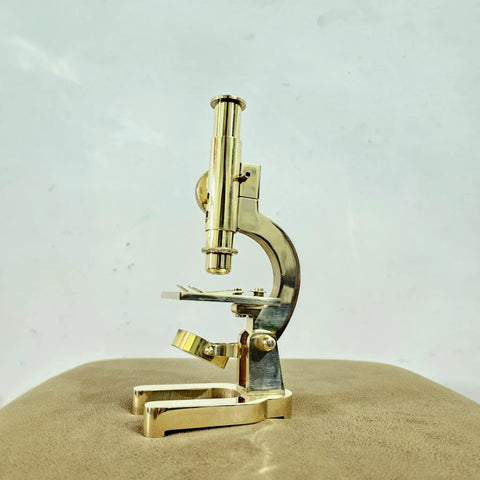 Top Shelf Handmade Solid Brass Microscope With Adjustable Focus Knob straight on view, 8 inches tall, decorative and educational.