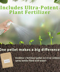 Hand spraying seedlings with water and plant fertilizer in Indoor Herb Garden Starter Kit Beginner Friendly With 7 Herbs Like Basil Parsley Thyme Mint Cilantro Dill Oregano Includes 10 White Pots Markers Soil Discs Sprayer Plant Pen Nutritional Soil Great Gift For Women