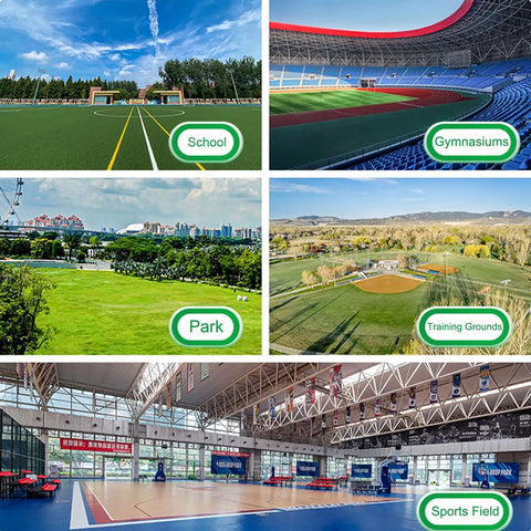 Collage showcasing various sports venues: school field, gymnasiums, park, training grounds, and sports field.