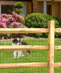 Black PVC Coated Welded Wire Fence 24 Inch By 50 Foot Garden Border Mesh 2x3 In 16GA Vinyl Coated Galvanized Steel Wire For Yard