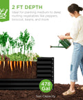 Outdoor Metal Raised Garden Bed 8 By 4 By 2 Ft Deep Root Planter For Vegetables Herbs And Flowers 478 Gallon Capacity Non Toxic Materials Heavy Duty Black with woman watering plants