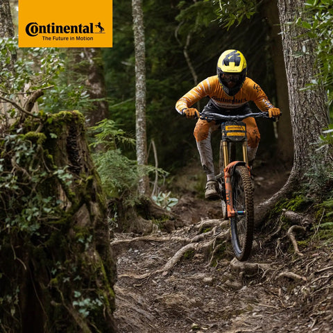 Cyclist navigating forest trail on mountain bike with Continental tires visible on bike