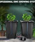 Two Buckets DWC Hydroponics Grow System with Top Drip Kit, 7-Gallon Deep Water Culture, includes air pump and air stone.