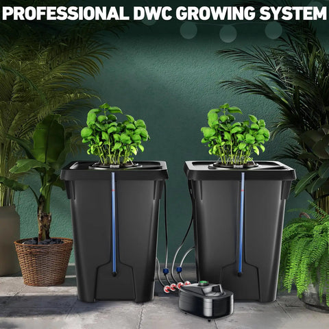 Two Buckets DWC Hydroponics Grow System with Top Drip Kit, 7-Gallon Deep Water Culture, includes air pump and air stone.