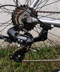 Bike rear wheel with 8 Speed Freewheel 13-28T Screw-On Replacement Part For Most Bikes Black And Brown Finish Universal Fit visible