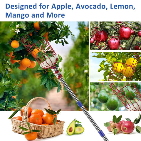 Long Reach Fruit Picker Pole With Basket, 13 Ft Telescoping Tree Picker Tool harvesting oranges and apples from trees