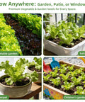 Huge 15000 Seeds Non GMO Heirloom Seed Kit for hydroponic indoor and outdoor growers in garden, balcony, and pots.