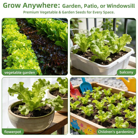 Huge 15000 Seeds Non GMO Heirloom Seed Kit for hydroponic indoor and outdoor growers in garden, balcony, and pots.