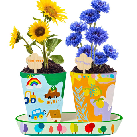 All In One Paint And Grow Flower Kit With 4 Ceramic Pots Soils Seed Packs Saucers Plant Markers Palette Brushes Tools And 12 Acrylic Colors, showing decorated pots with sunflowers and cornflowers.