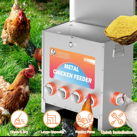 Kick The Chore Out Of Feeding With This Heavy Duty Automatic Chicken Feeder For Backyard Birds Featuring Eighty Five Pound Capacity And Ten Port Design To Block Waste And Keep Flocks Happy All Season Long.