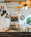 Dining area with ceiling fans and 2 Pack A15 15W Dimmable Incandescent Light Bulbs E26 Medium Base 120V Soft White lighting