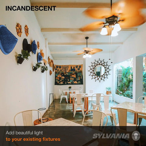 Dining area with ceiling fans and 2 Pack A15 15W Dimmable Incandescent Light Bulbs E26 Medium Base 120V Soft White lighting
