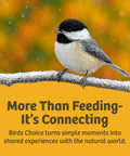 Chickadee on snowy branch, text 'More Than Feeding - It’s Connecting', Birds Choice message about natural world experiences.