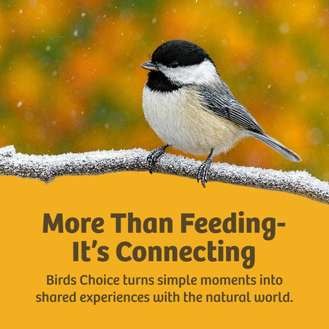 Chickadee on snowy branch, text 'More Than Feeding - It’s Connecting', Birds Choice message about natural world experiences.