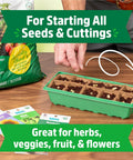 10-Cell Greenhouse Germination Kit for Home Gardens With Biodegradable Pots and Vented Lid, shown with seed packets