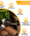 Two Pack Organic Coco Coir Bricks For Garden Soil 8x4x2 Inch Each 1.4 Lb 100 Percent Natural Coconut Pith And Fiber Low EC Balanced PH
