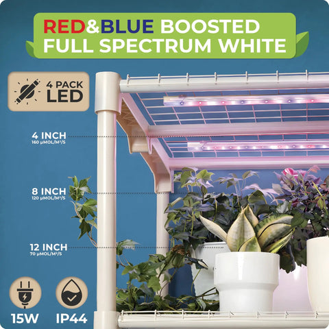 Indoor Greenhouse With Grow Light For Home Gardening, 4 Tier Mini Grow Tent with plants, LED strips, and spectrum control