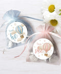40 Count Pink and Blue Hot Air Balloon Gender Reveal Stickers for Team He and Team She, 1.75 Inch Round Labels on fabric bags